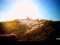 The House of God Forever - lyrics 