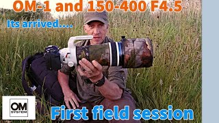 Using Olympus OM System OM-1 For Wildlife Photography (Full Review)