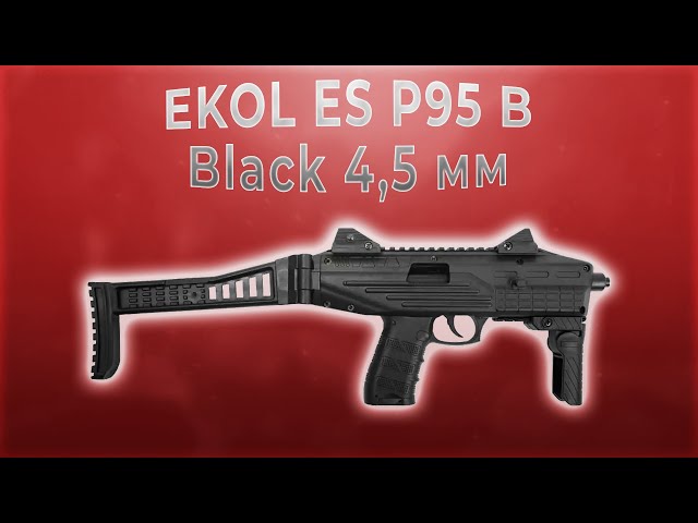 بكج بندقية ايكول P95B عيار (4.5)