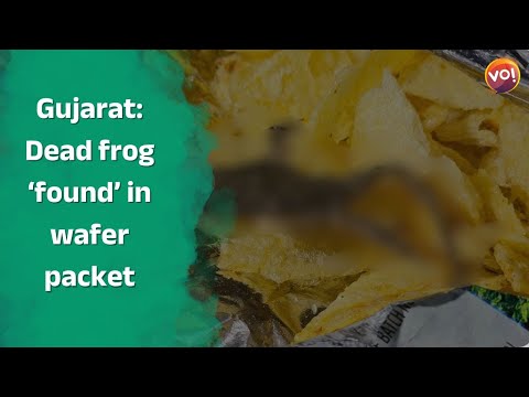 Gujarat: Dead frog `found' in wafer packet; probe underway   | Vibes Of India