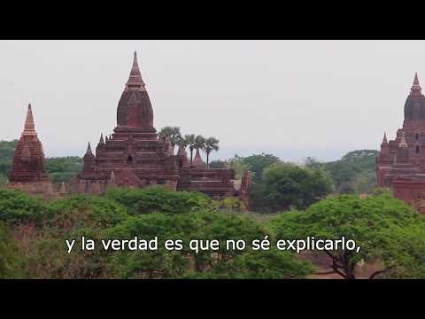 Vitamina A1/Vitamina Básico - Unidad 2 (Subtitulado)