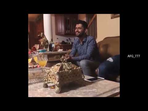 Farhad Shams Majlesi