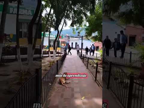Pampanito: Un Refugio de Paz en Venezuela