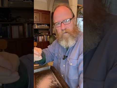 Mind, Energy, Alchemy