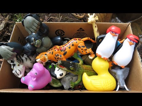 Box filled with various Zoo Animal Toys  🐧