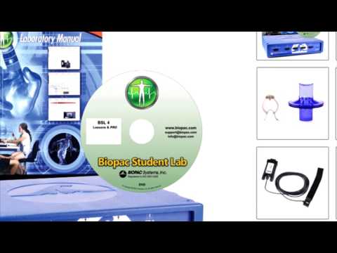 How to Sign Data Processor in BSL