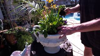 Moving Infested Plants Outside || Plants at Lowes || Making Spring Planters and Unboxing a New Plant