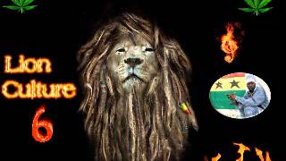 DJ Mono - Lion Culture 6