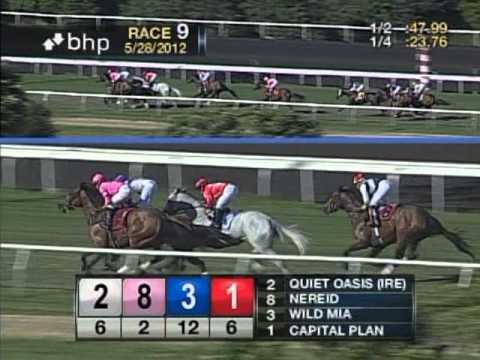 The 46th Running of The Gamely Stakes (GI) - $250,000 Guaranteed