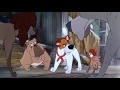 Oliver And Company Dodger S Plan HD