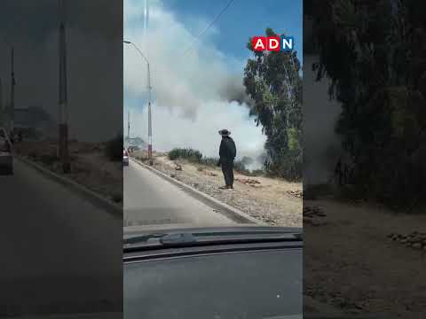 Incendio forestal en Parque Coll obliga a evacuar sector