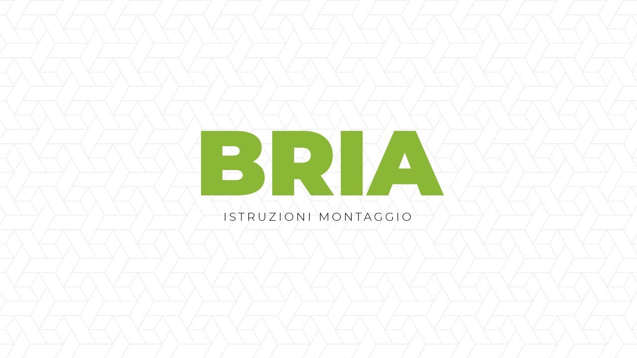 Istruzioni montaggio scala Bria