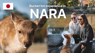 Attacked By Deer In Japan ⚠️ (kinda) | Be Careful in Nara Park!