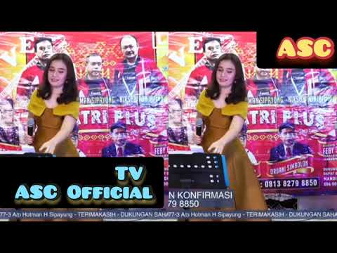 ❤️MARDUA HOLONG/CINTA ❤️ (Cover) By Feby Sitorus