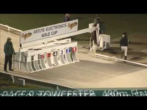 King Turbo - Astute Electronics Gold Cup