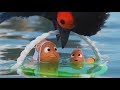 Finding Dory Best Scenes