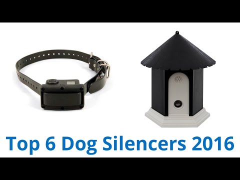 6 Best Dog Silencers 2016
