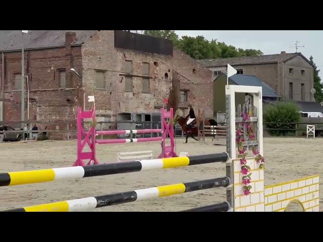 Vente cheval CSO Hunter