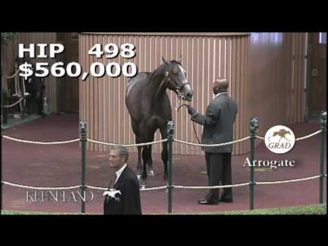 Arrogate as a Keeneland September Yearling