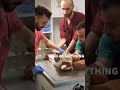 The Cat Hates The Vet Shorts Cat Memes Fyp