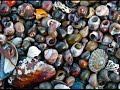 Bottlecaps (2009)