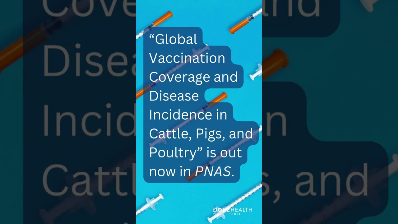 PNAS Animal Vaccine Video