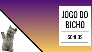 JOGO DO BICHO - SONHAR COM GATO
