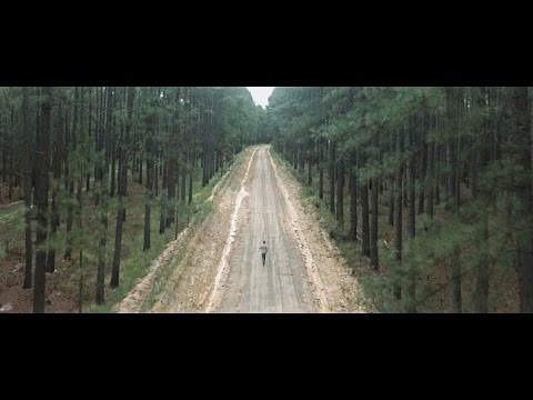 Hollow Coves - The Woods (Official Music Video)