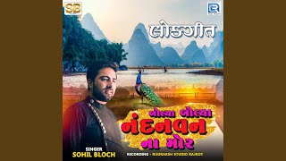 Bolya Bolya Nandanvan Na Mor song artwork