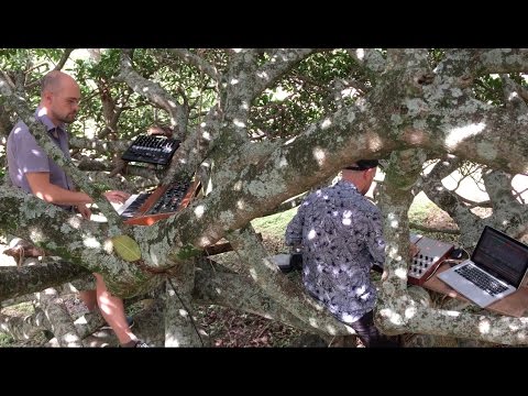 skinnerbox - postlude for a found cricket and the tree of eden