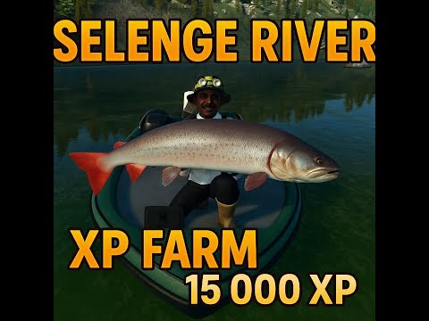 Best XP FARM on Selenge River! | 15,000 XP