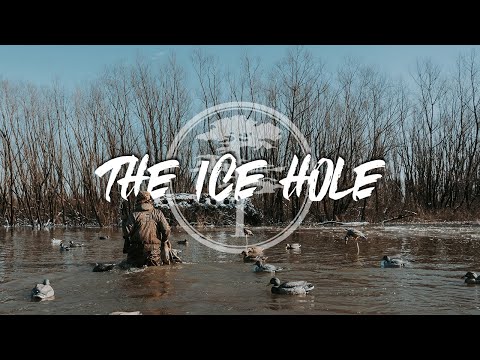 Duck Hunting- GIANT Groups of Teal in The ICE HOLE
