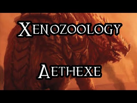 Xenozoology: Aethexe - 40K Theories