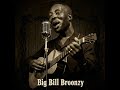 Big Bill Broonzy – Road, Love & Protest Blues Classics (1935–1955) | Delta Blues Stories