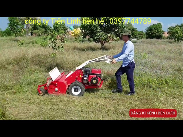 Video giới thiệu 