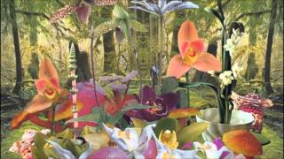 Monster Rally - Moonglow