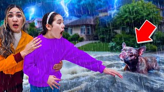 Our Dog Got Taken Away By a Huge Storm.. *Shocking* | Jancy Family