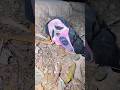 POV When Sigma Boy Cut Ghost S Neck ️ Hanuman Ghost Bhoot Comedy Hanumanji Trending