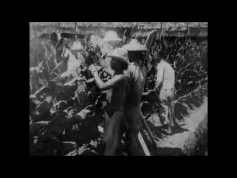 Trailer A Trip Through British North Borneo (Trip to Borneo) 1907 (Urban)