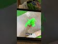 Barney Baby Bop Crying
