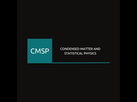 ICTP Sections: Condensed Matter and Statistical Physics