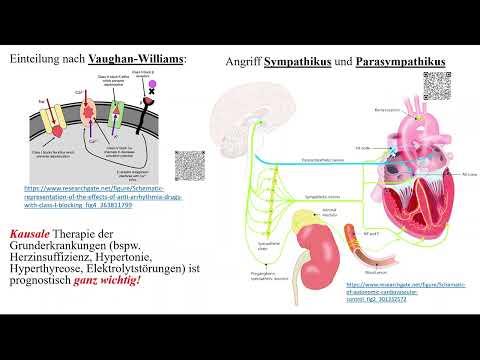 Antiarrhythmika: Überblick Klasse I bis IV nach Vaughan Williams - und Sonstige