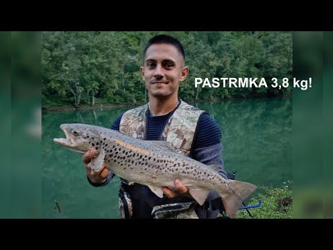 Pecanje na Drini, plotice i neočekivan ulov!