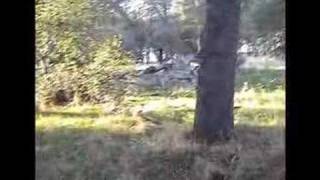 Sever Your Ties Studio Blog 2