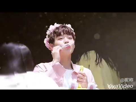 Park Jihoon Fansign Compilation