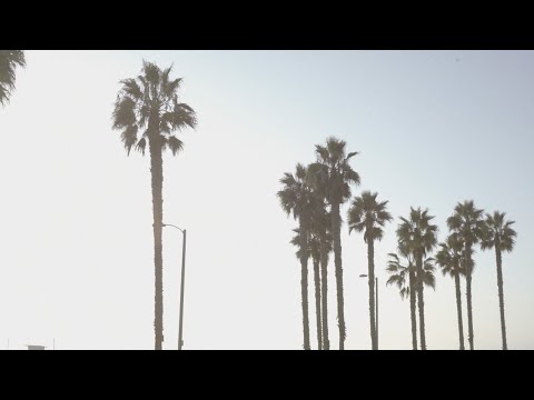 Michael Kaneko - When We Were Young (Official Music Video)
