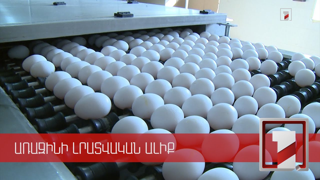 Գնի տատանումներ հավկիթի շուկայում. ինչ գործոններով են դրանք պայմանավորված