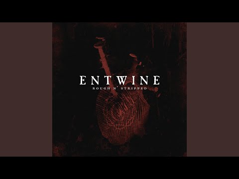 The Pit video thumbnail