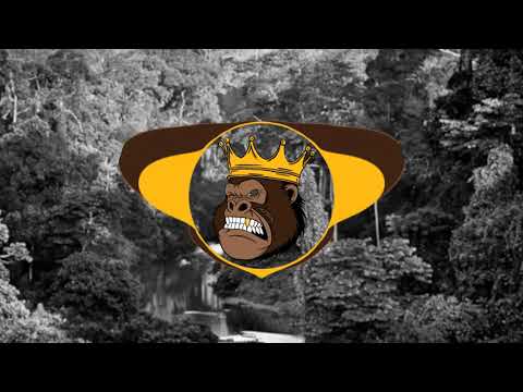 French Montana ft Future (REMIX) PWHY