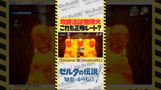 【本編は⬇️から】ゴリ押しこそ知恵が必要 #ゼルダの伝説知恵のかりもの #ゲーム実況